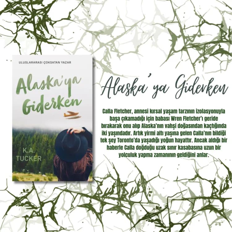 Alaska'ya Giderken