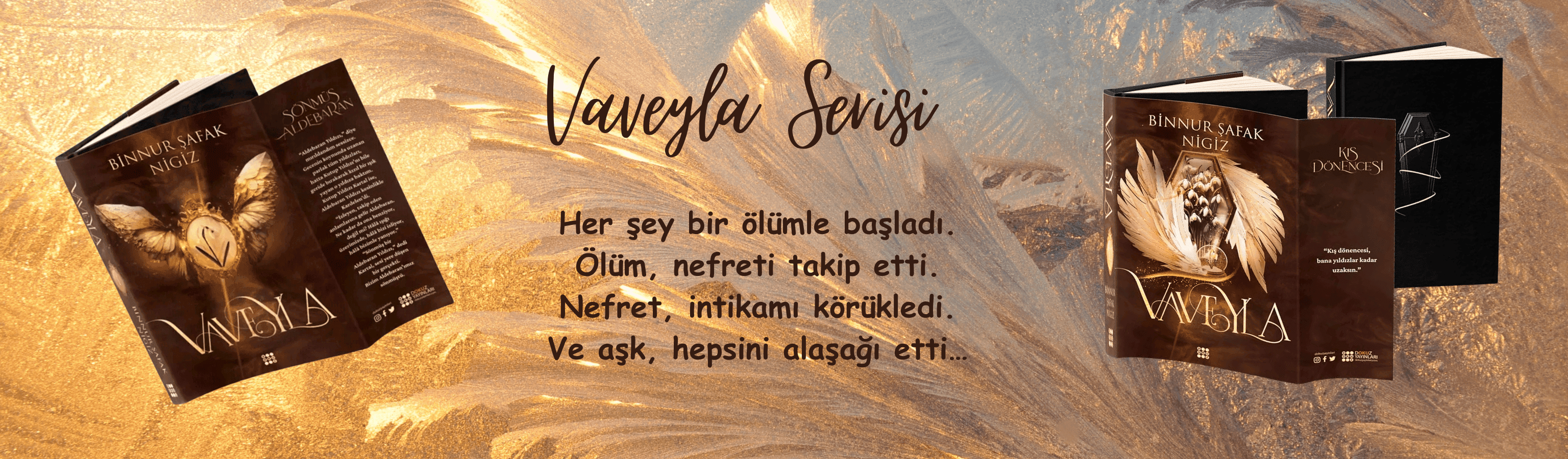 vaveyla_serisi.png